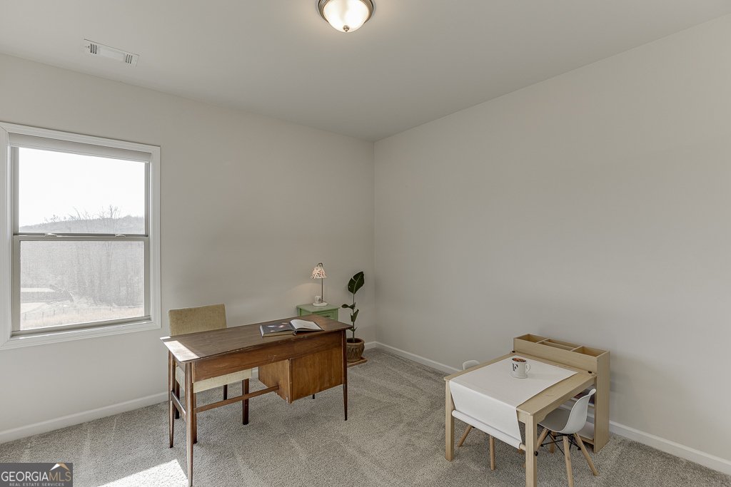 7141 Birch View Court Flowery Branch - Photo 22