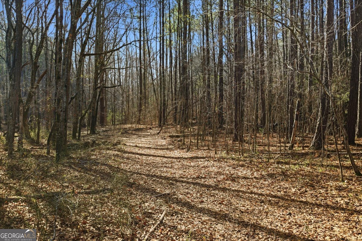 80 Chemin Place Sharpsburg - Photo 49