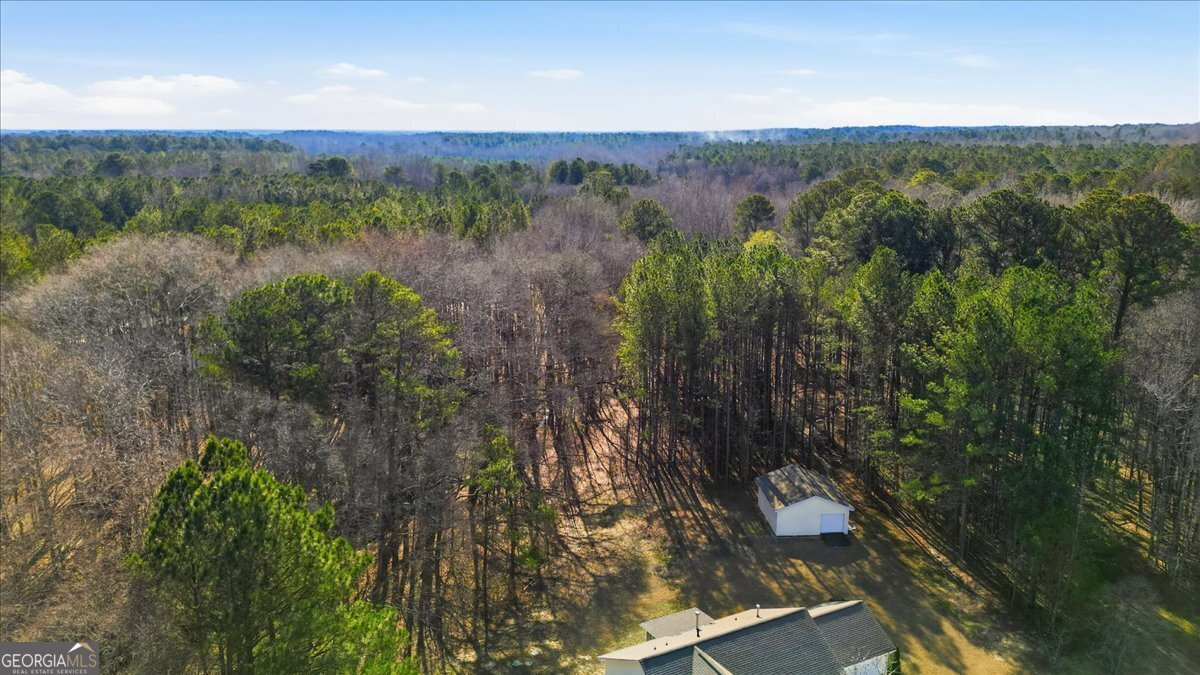 80 Chemin Place Sharpsburg - Photo 50