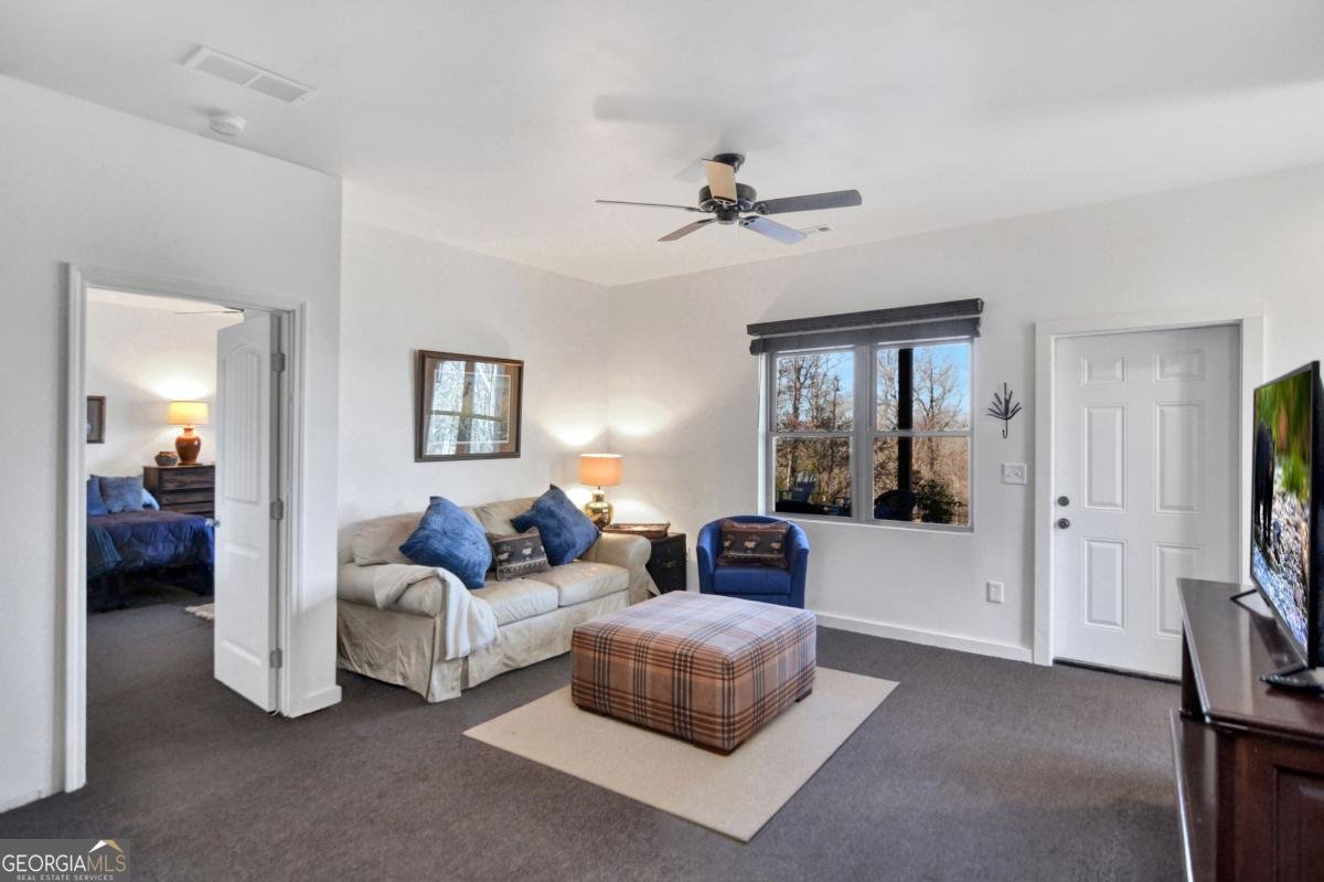 196 Grayson Point Blue Ridge - Photo 36