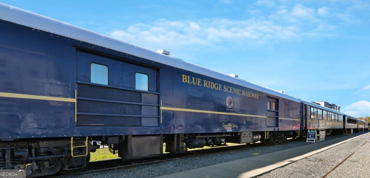 196 Grayson Point Blue Ridge - Photo 54