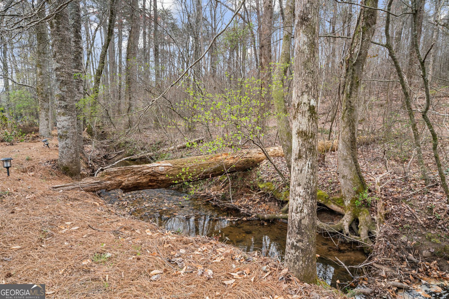 1525 Camden Cove Drive Cumming - Photo 44