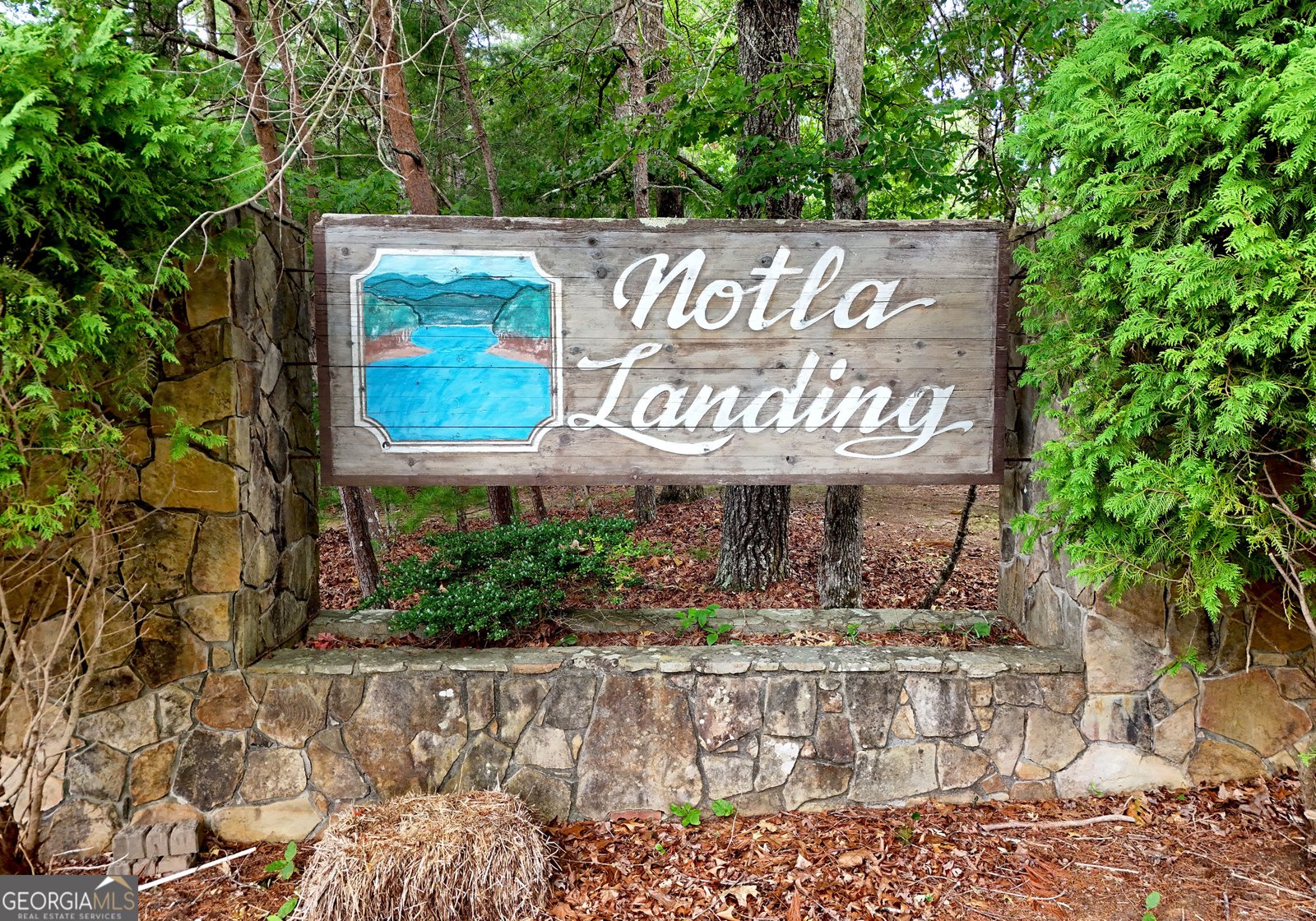 282 Millie Circle Blairsville - Photo 37