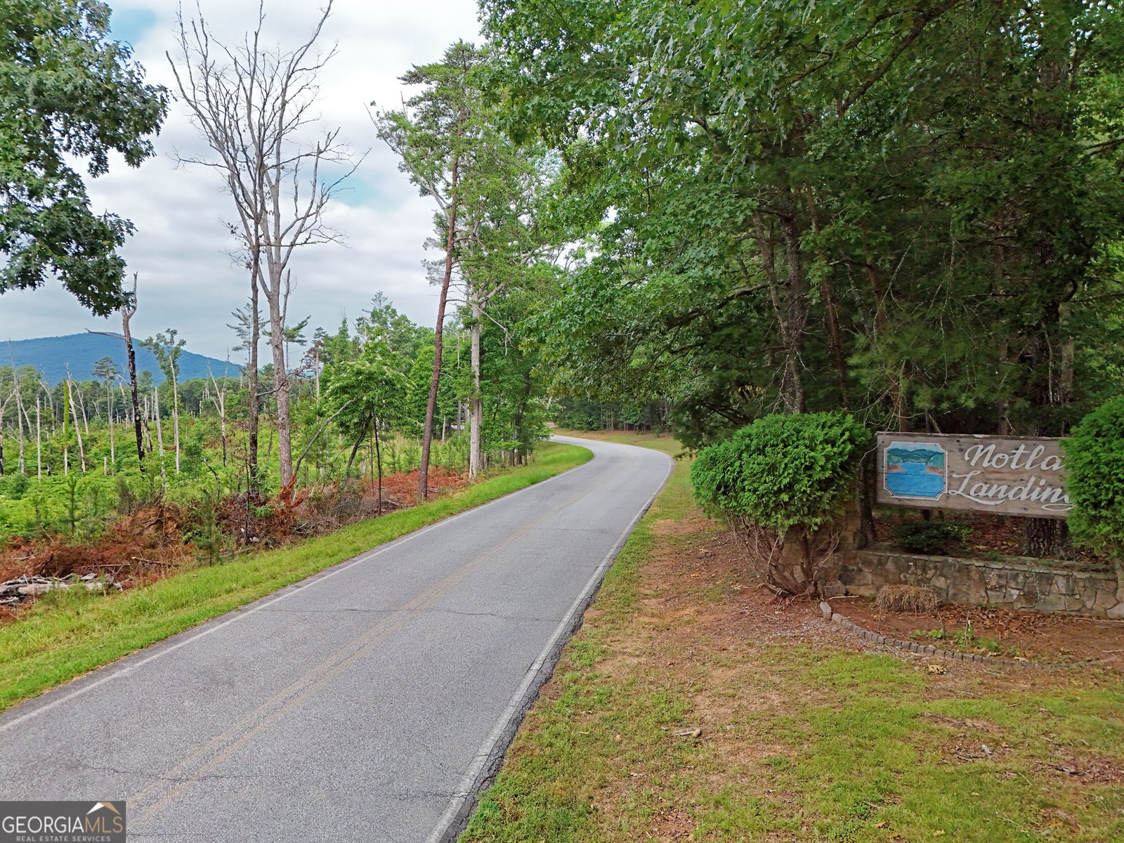 282 Millie Circle Blairsville - Photo 38