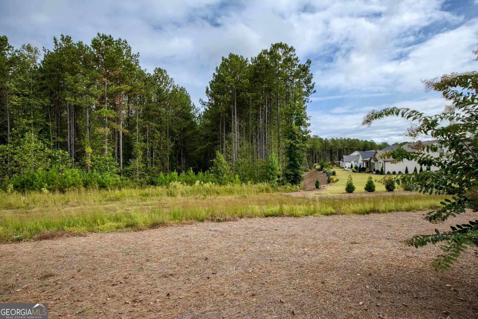 219 Belmont Park Drive Canton - Photo 60