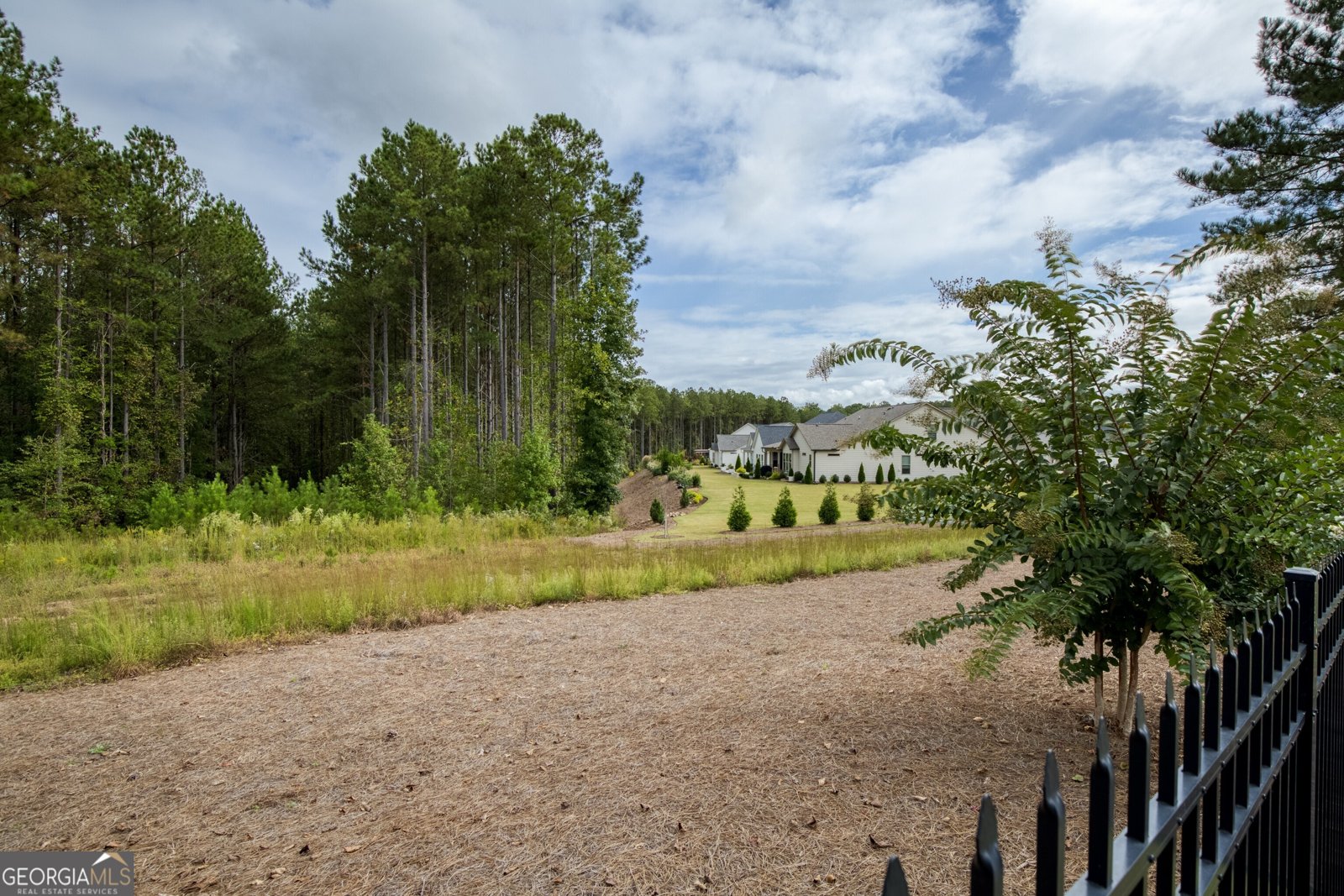 219 Belmont Park Drive Canton - Photo 61