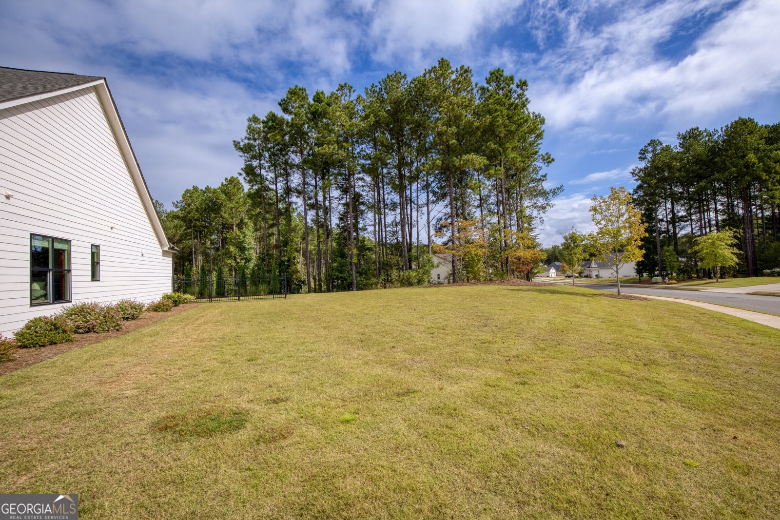 219 Belmont Park Drive Canton - Photo 72