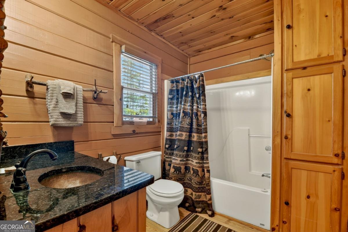 470 Gobbler Knob Drive Ellijay - Photo 16