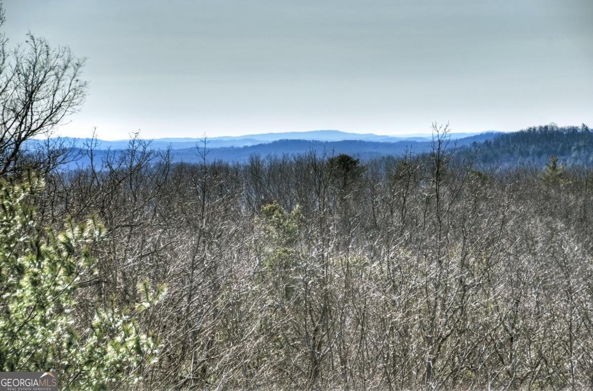 470 Gobbler Knob Drive Ellijay - Photo 23