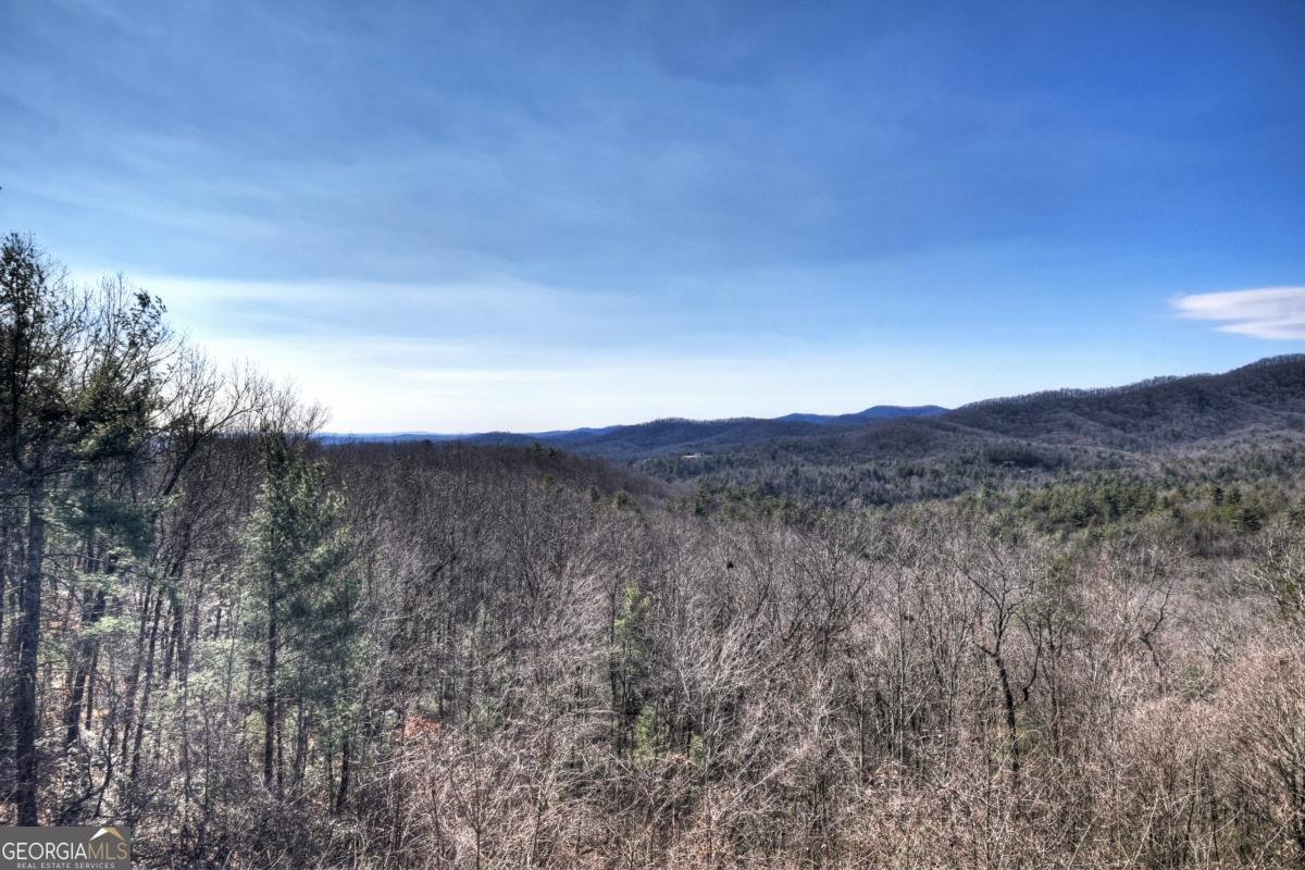 470 Gobbler Knob Drive Ellijay - Photo 39
