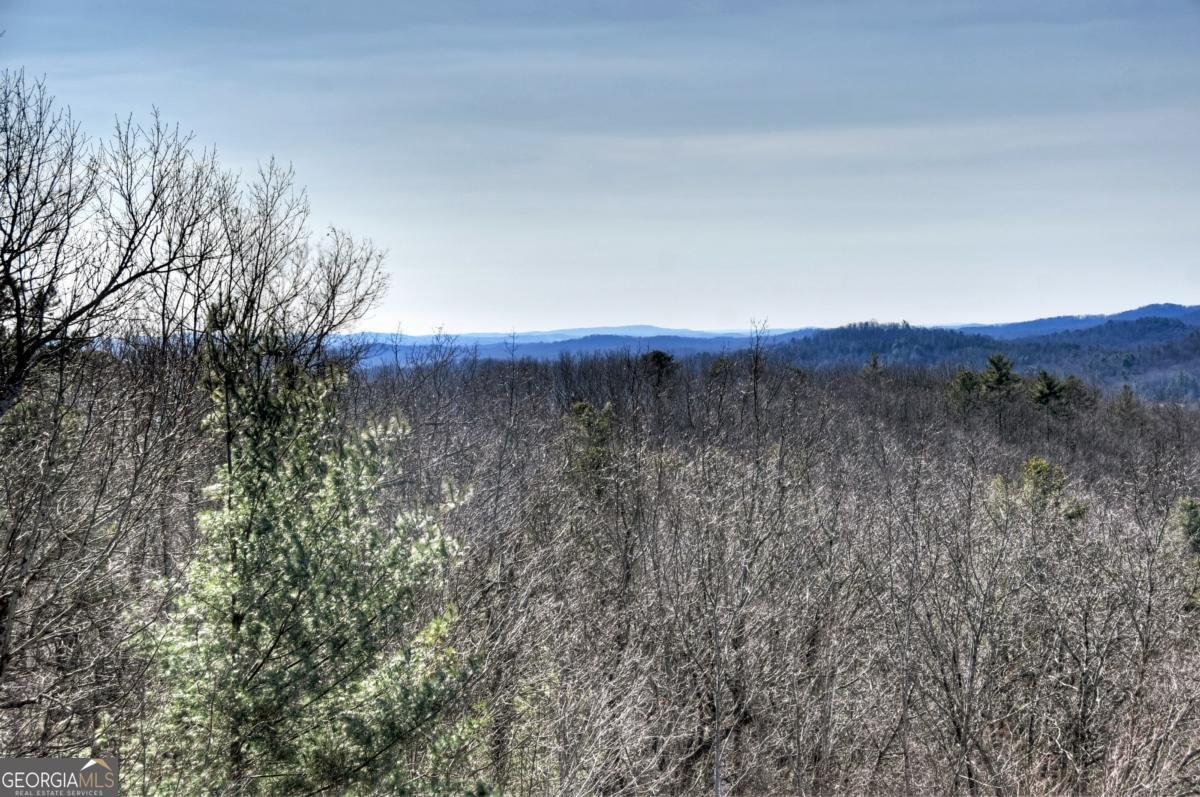 470 Gobbler Knob Drive Ellijay - Photo 40