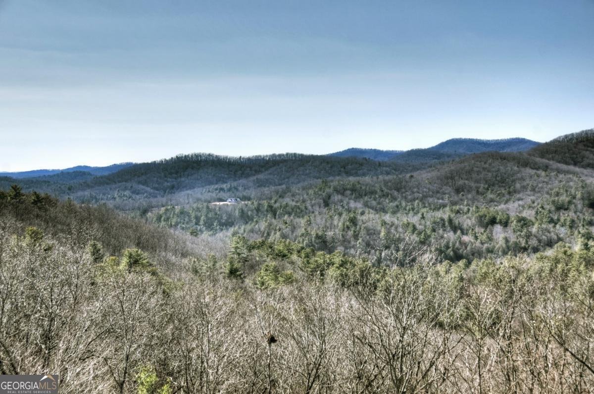 470 Gobbler Knob Drive Ellijay - Photo 41