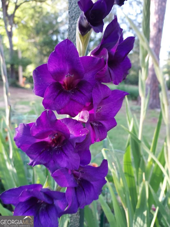 2601 Ridgewood Lane Albany - Photo 50