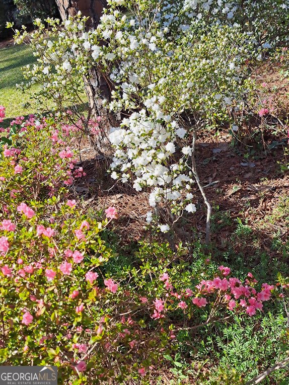 2601 Ridgewood Lane Albany - Photo 51