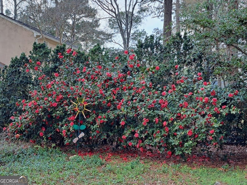 2601 Ridgewood Lane Albany - Photo 53