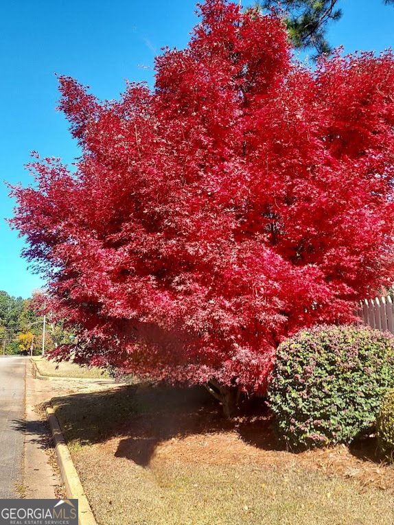 2601 Ridgewood Lane Albany - Photo 54