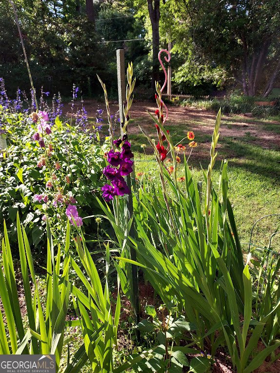 2601 Ridgewood Lane Albany - Photo 55