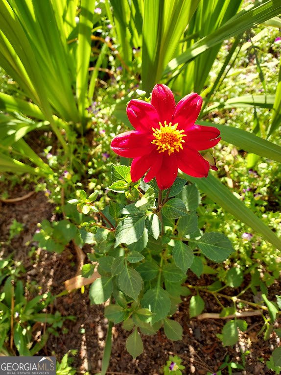 2601 Ridgewood Lane Albany - Photo 56