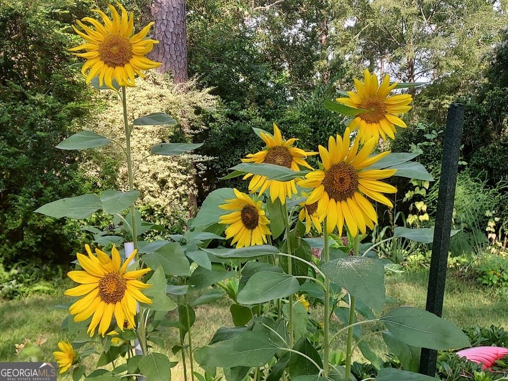 2601 Ridgewood Lane Albany - Photo 57