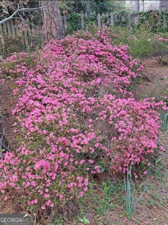 2601 Ridgewood Lane Albany - Photo 60