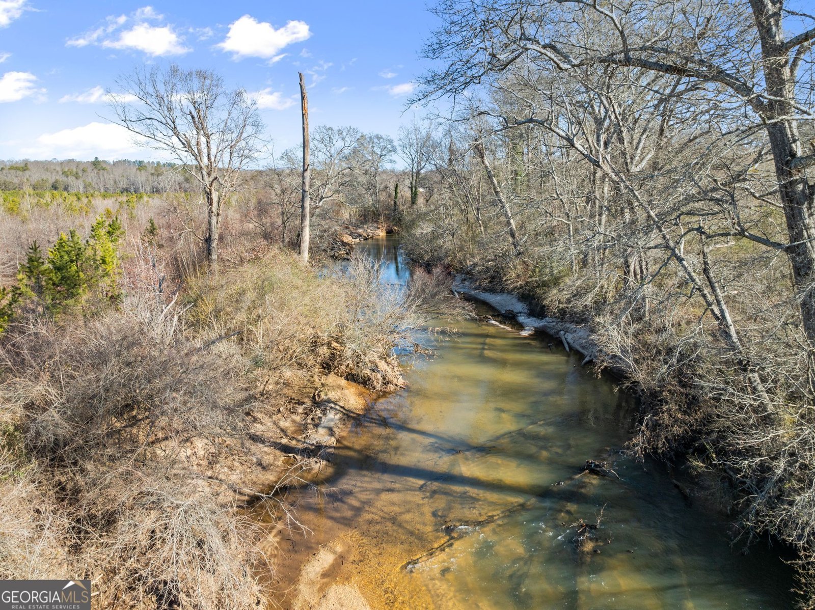 117 Village Green Way Clarkesville - Photo 36