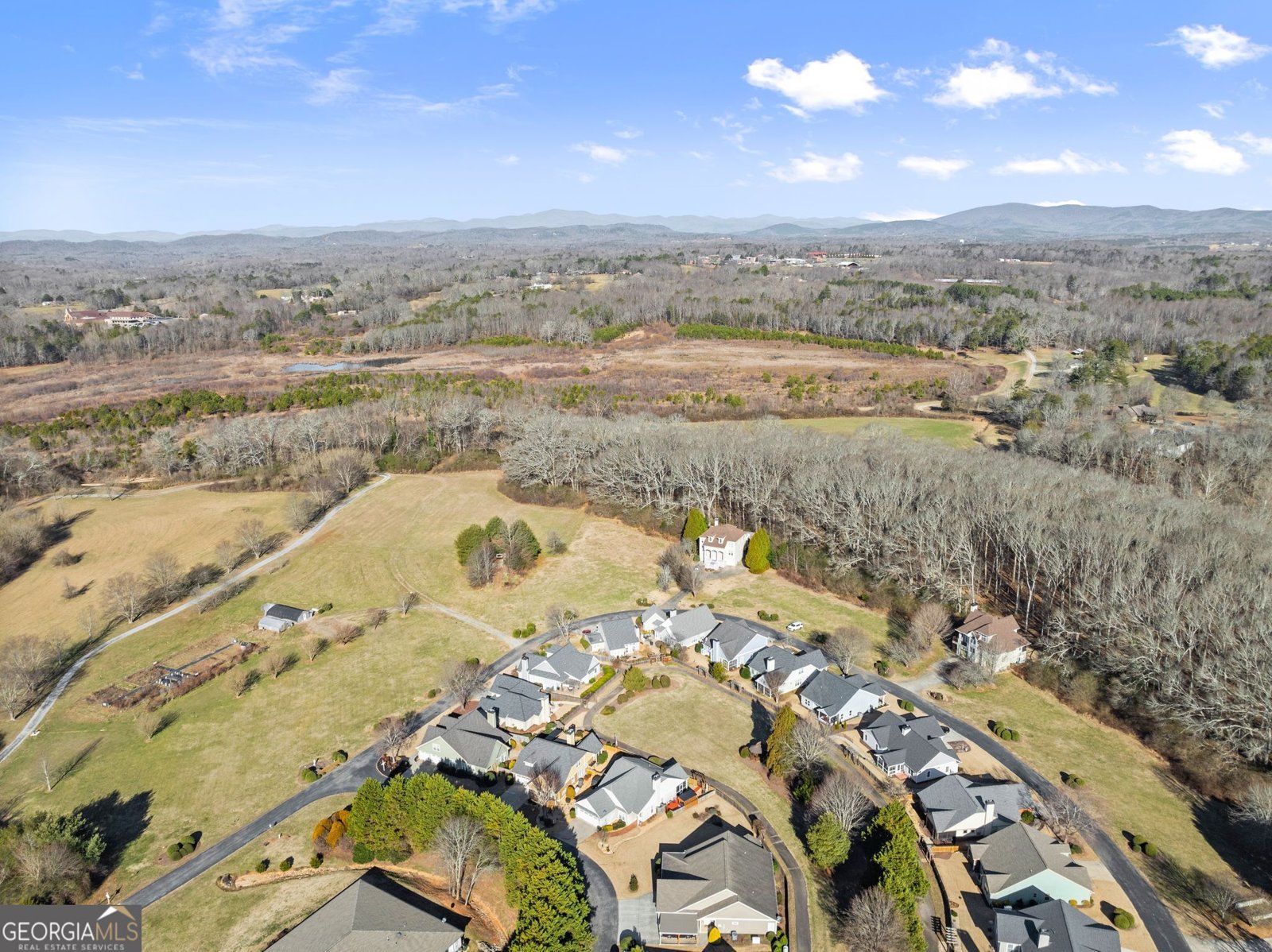 117 Village Green Way Clarkesville - Photo 37