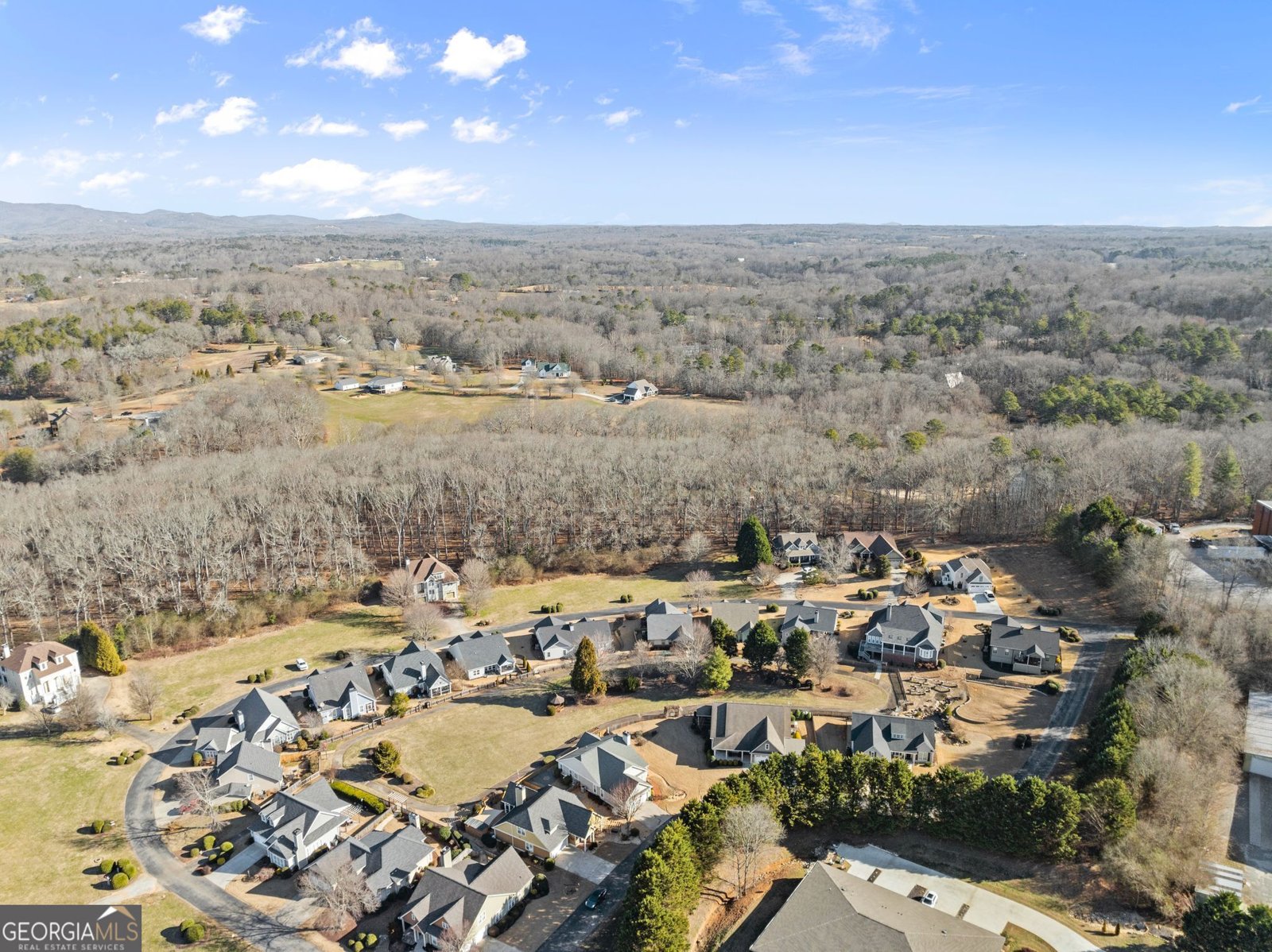 117 Village Green Way Clarkesville - Photo 39