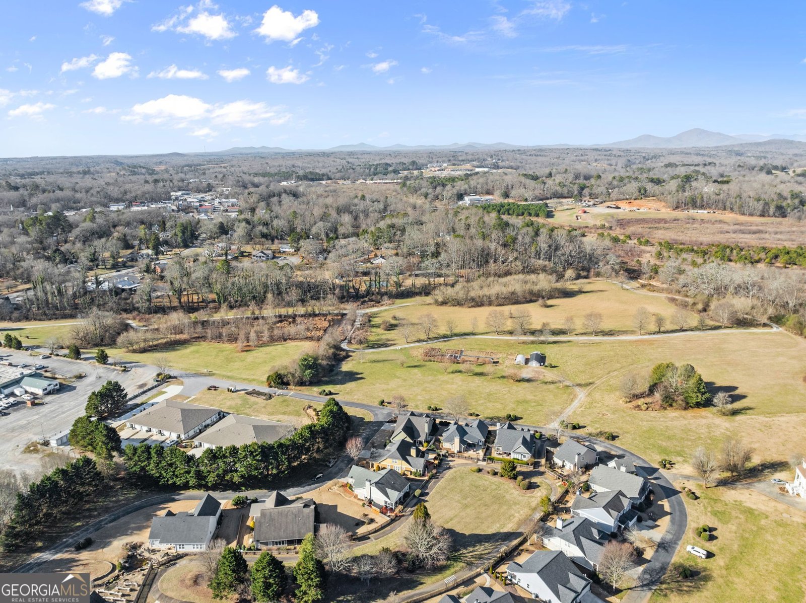 117 Village Green Way Clarkesville - Photo 41