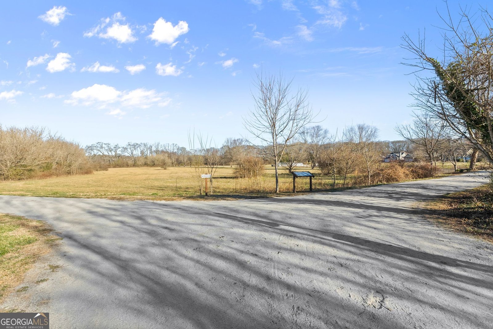 117 Village Green Way Clarkesville - Photo 43