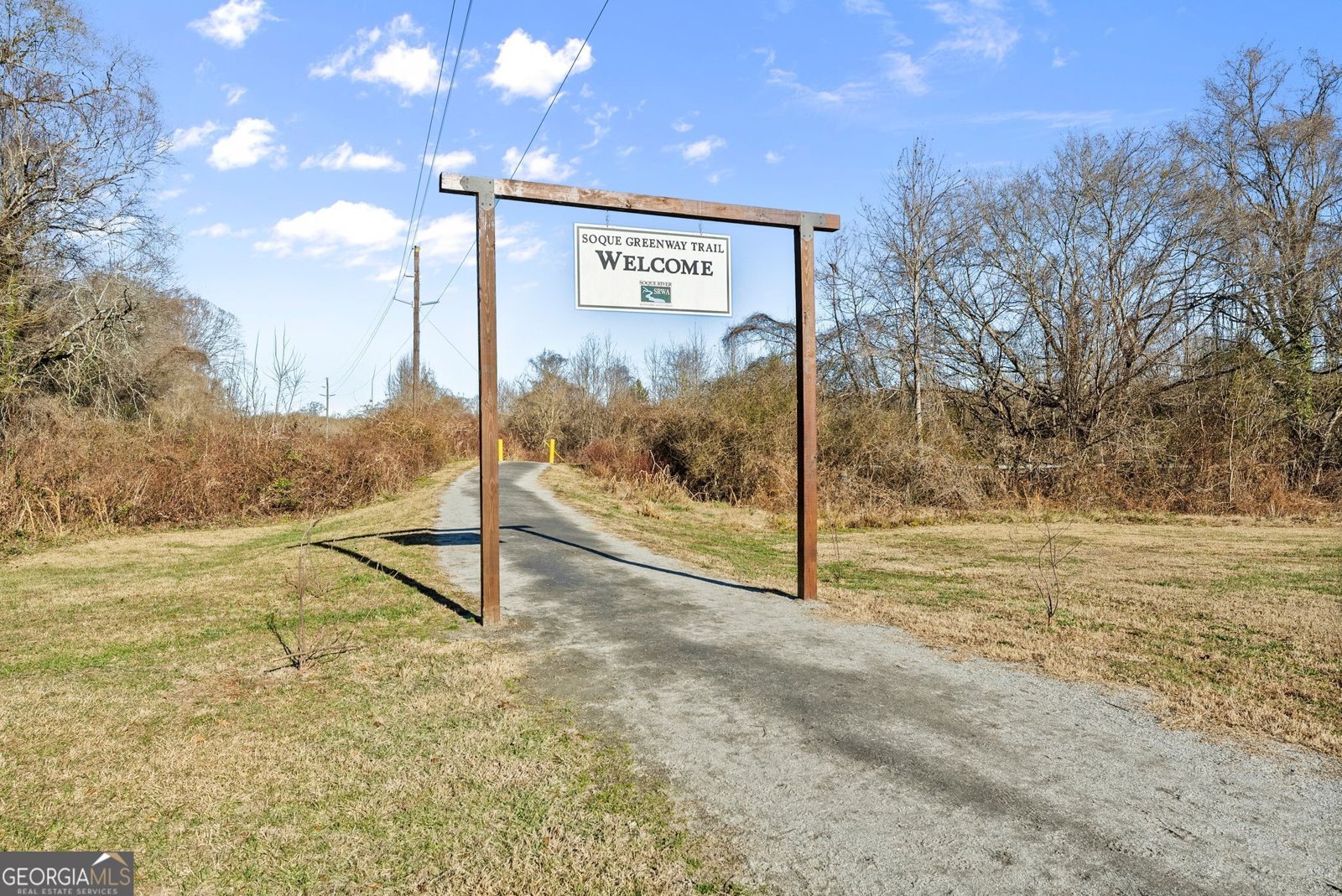 117 Village Green Way Clarkesville - Photo 49