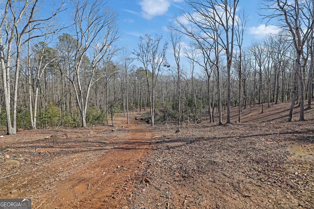 107 Holcomb Road Dawsonville - Photo 27