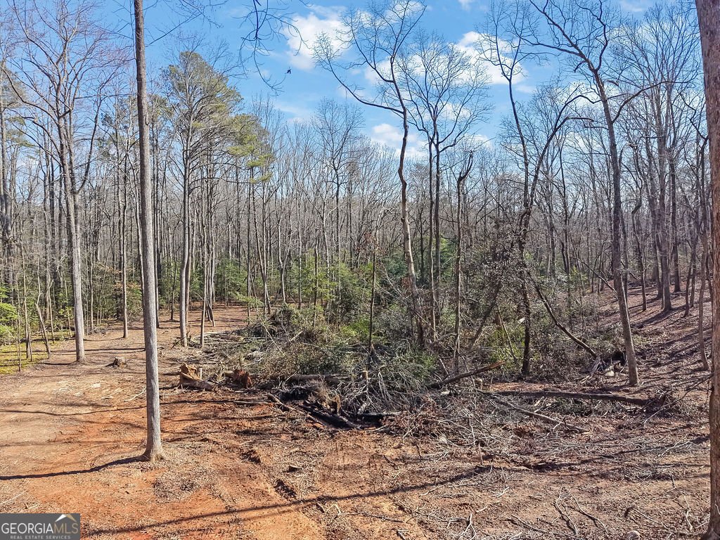 107 Holcomb Road Dawsonville - Photo 36