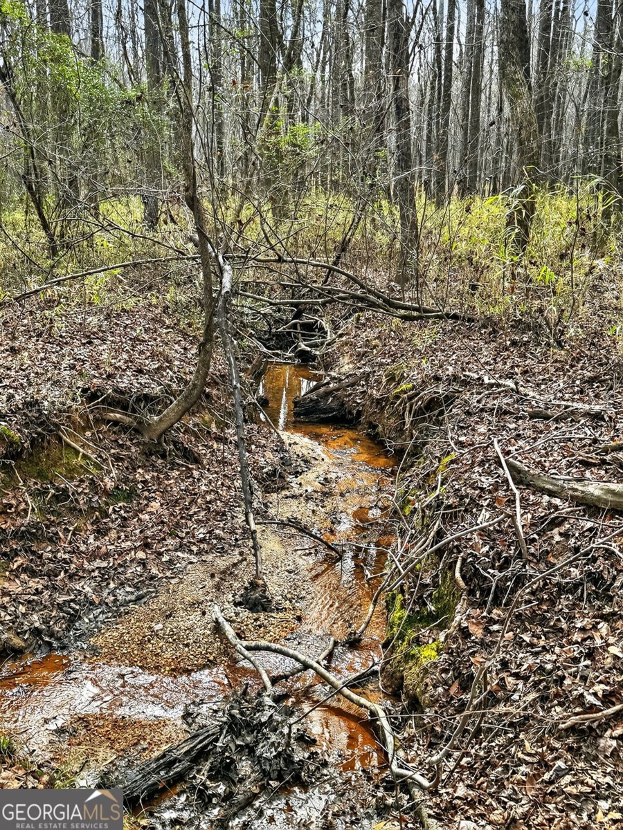 916 Highway 36 Barnesville - Photo 52