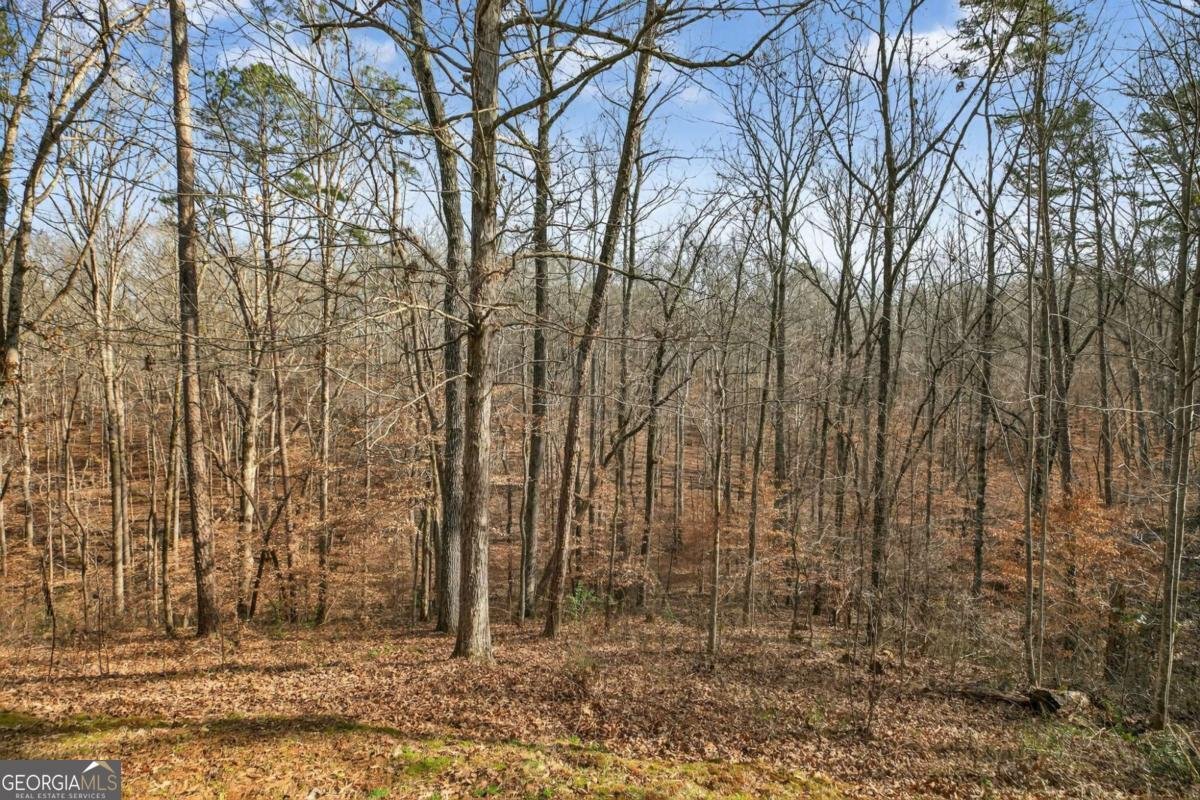 135 Oakland Court Tallapoosa - Photo 42