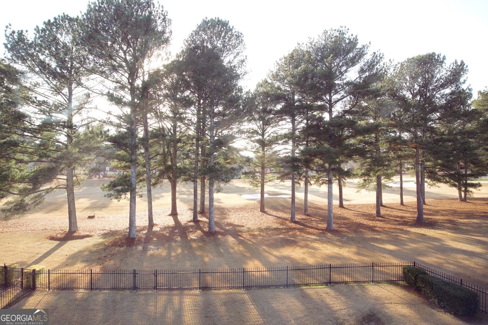 9614 Coastal Pointe Drive Villa Rica - Photo 33