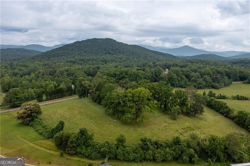 1526 Highway 255 Sautee Nacoochee - Photo 14