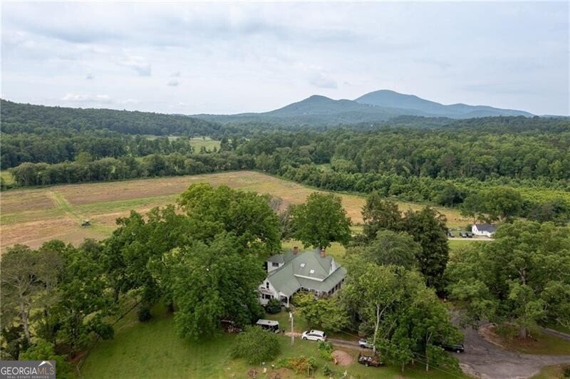 1526 Highway 255 Sautee Nacoochee - Photo 15