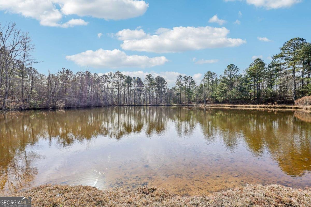 548 Greene Settlement Road Gray - Photo 54