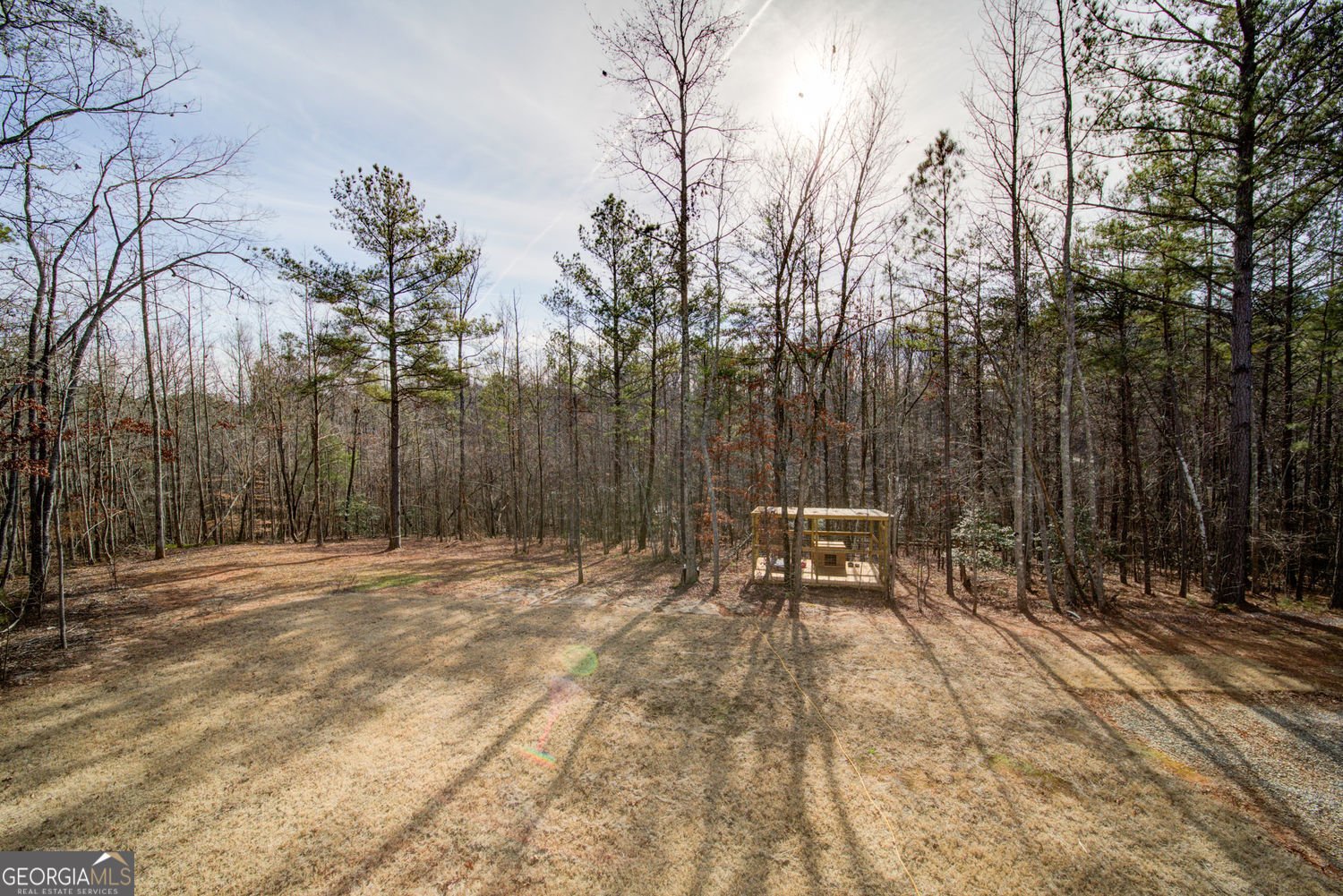 662 Cleve Wright Road Dawsonville - Photo 42