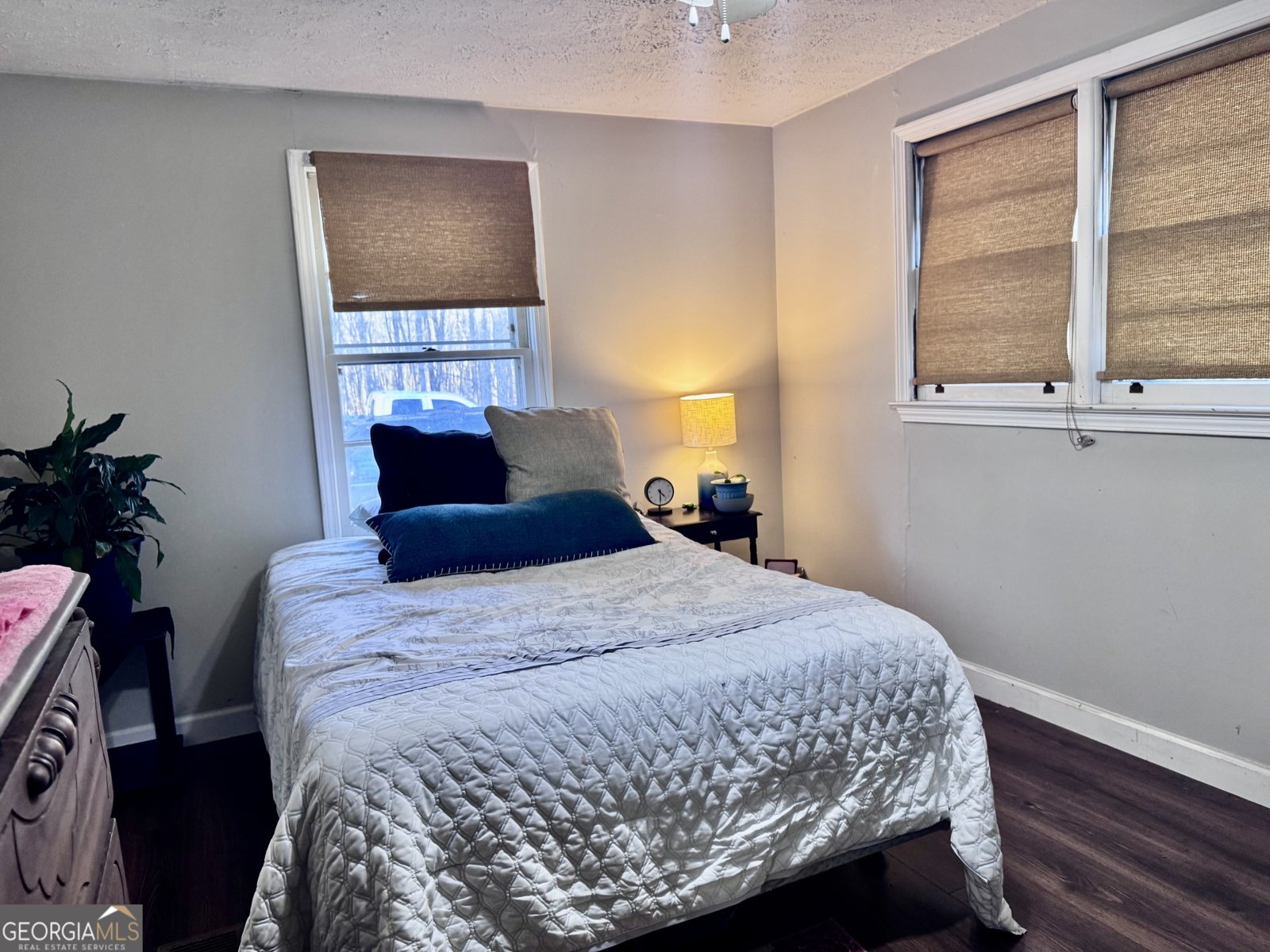 1335 Meadows Boone Road Luthersville - Photo 13