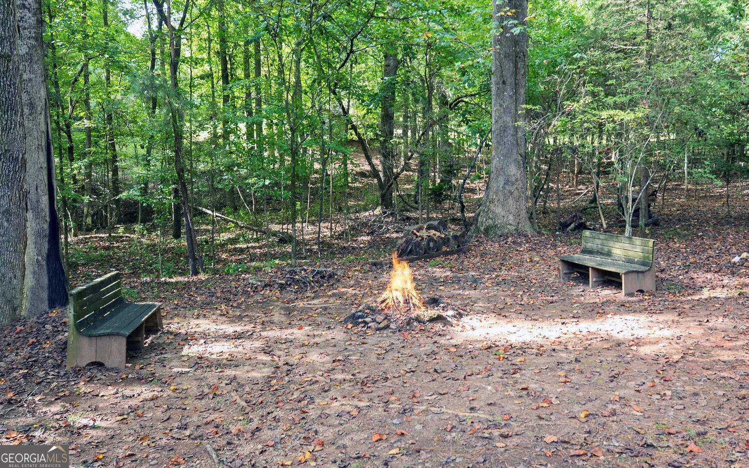 396 Greenleaf Drive Lavonia - Photo 55