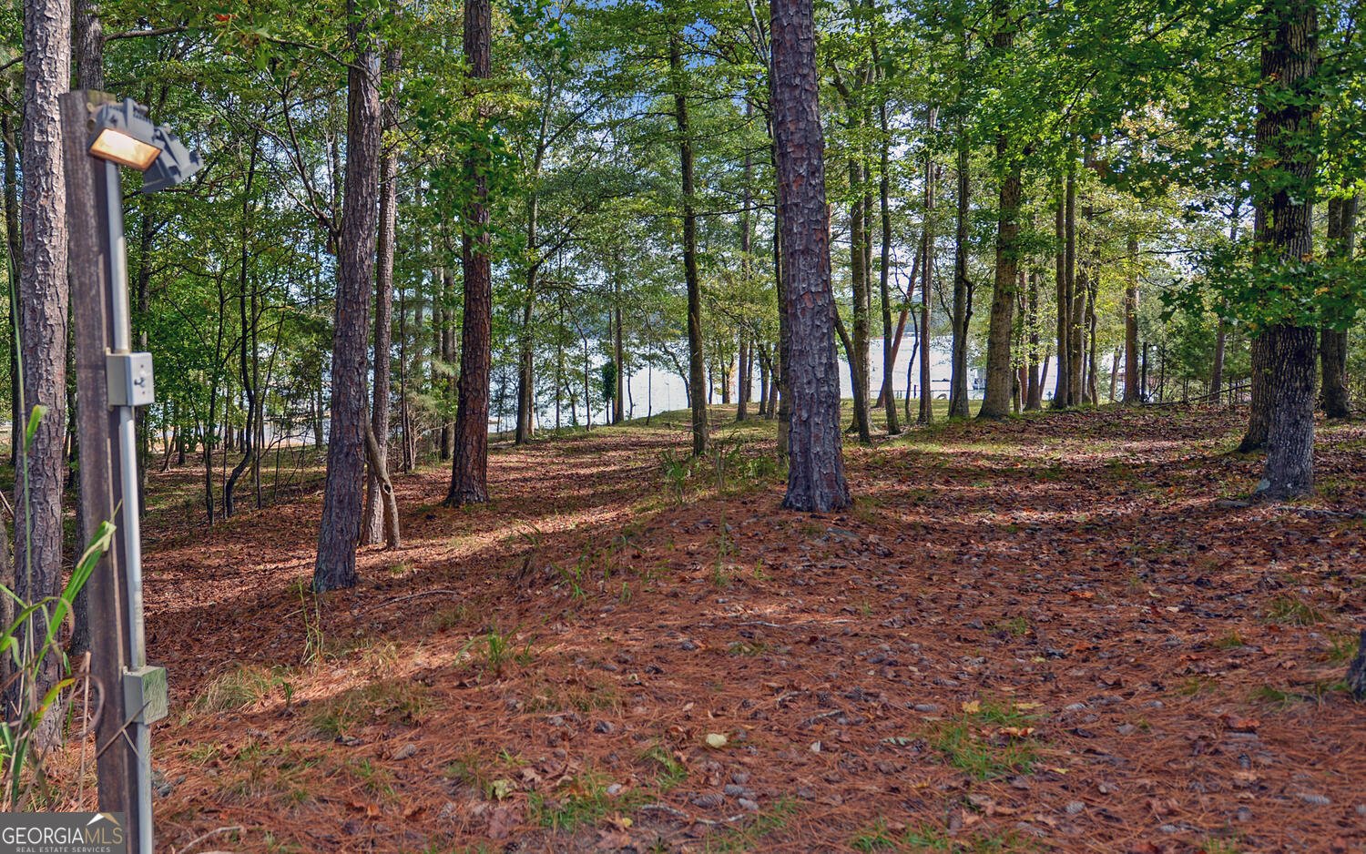 396 Greenleaf Drive Lavonia - Photo 56