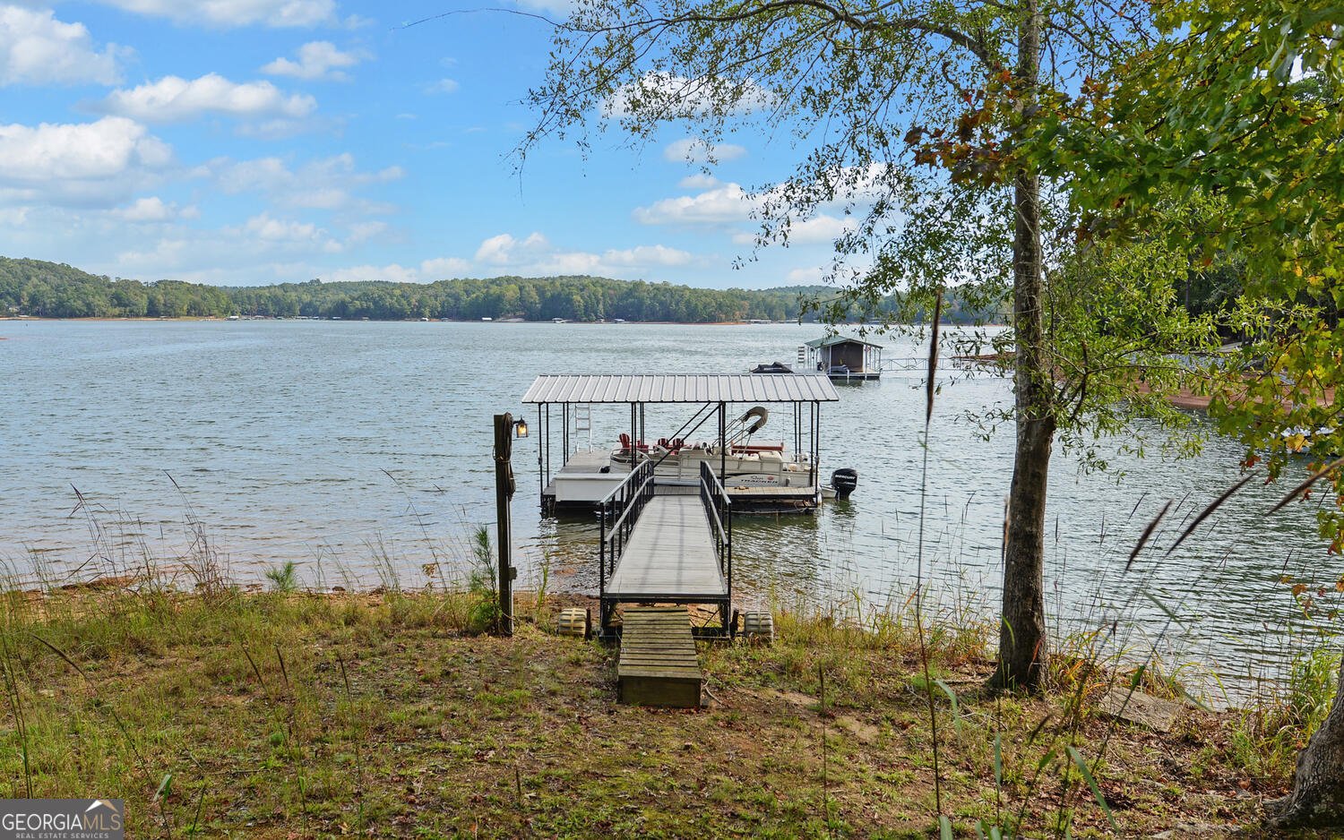 396 Greenleaf Drive Lavonia - Photo 64