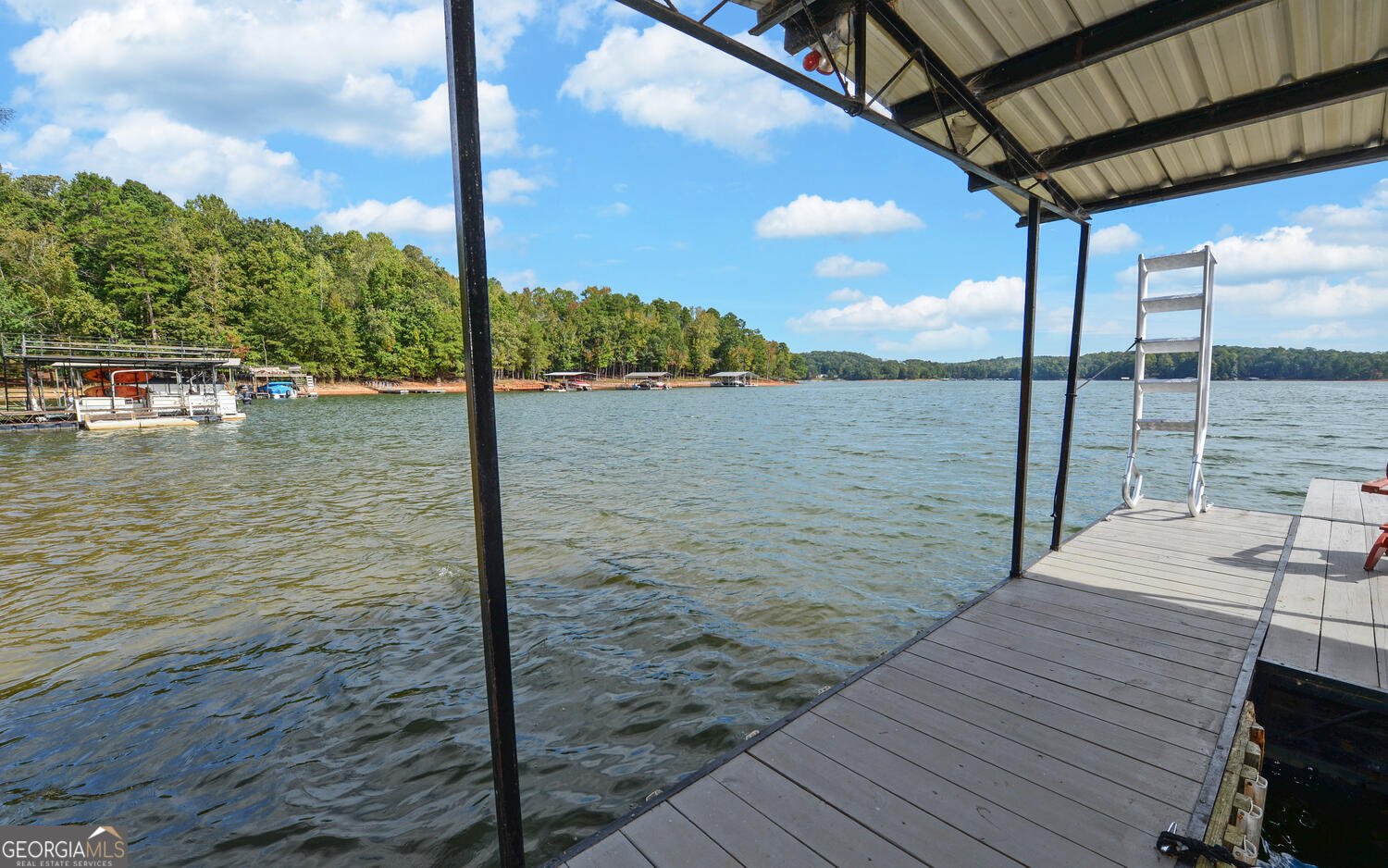 396 Greenleaf Drive Lavonia - Photo 67