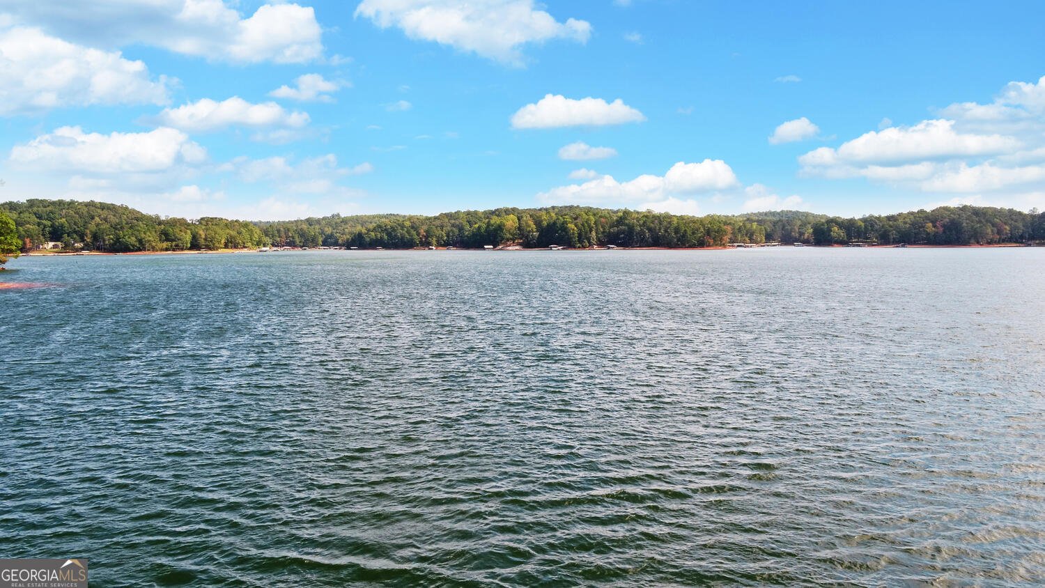 396 Greenleaf Drive Lavonia - Photo 69