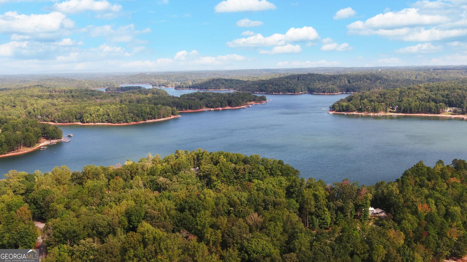 396 Greenleaf Drive Lavonia - Photo 72