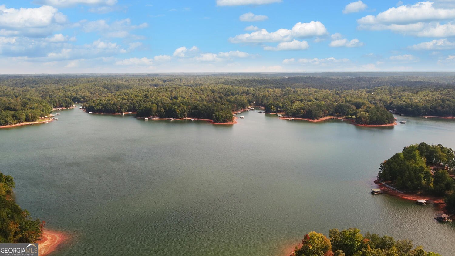 396 Greenleaf Drive Lavonia - Photo 74