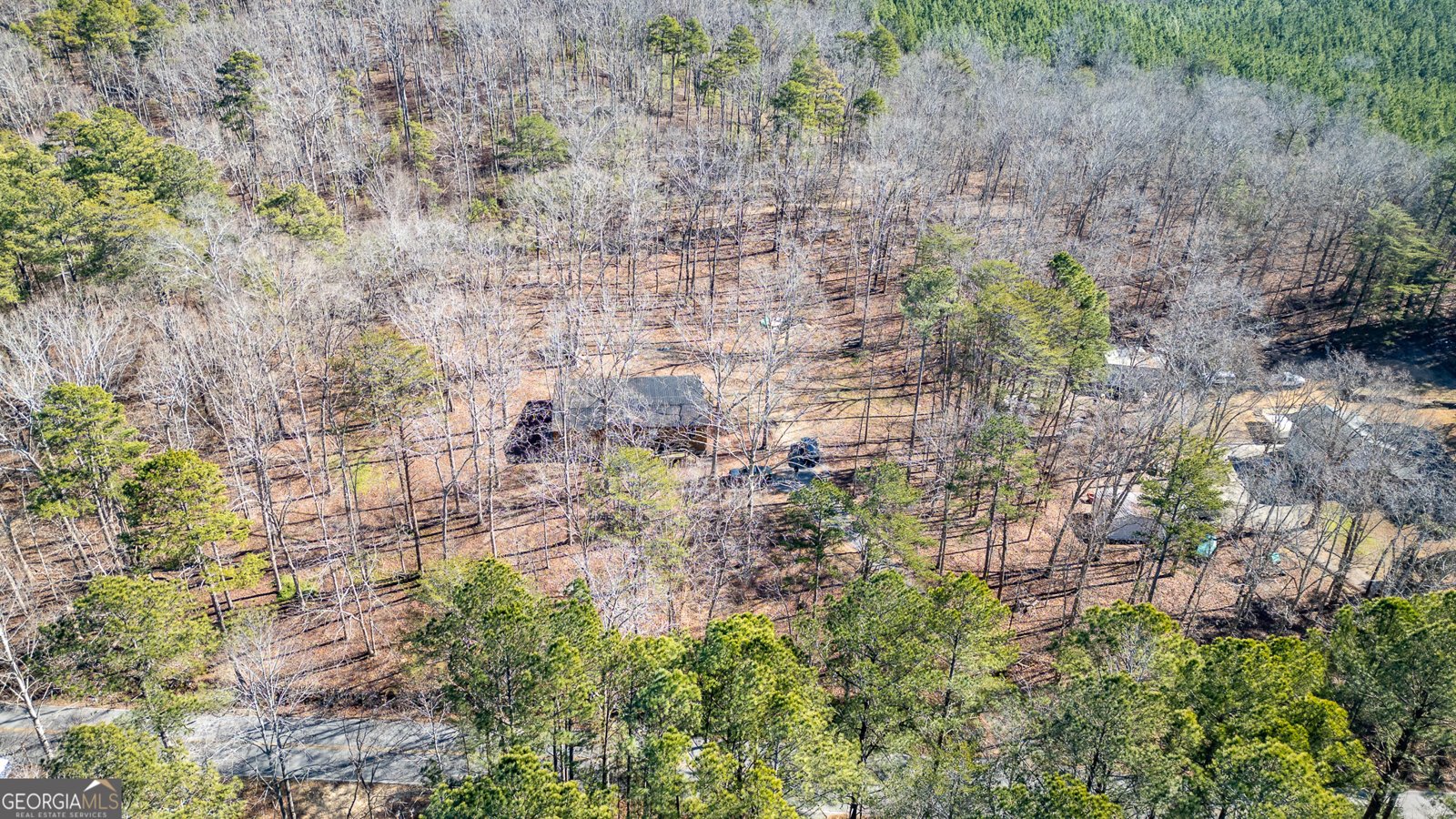 1745 Dick Creek Road La Fayette - Photo 28