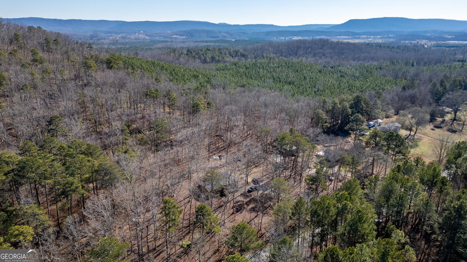 1745 Dick Creek Road La Fayette - Photo 30