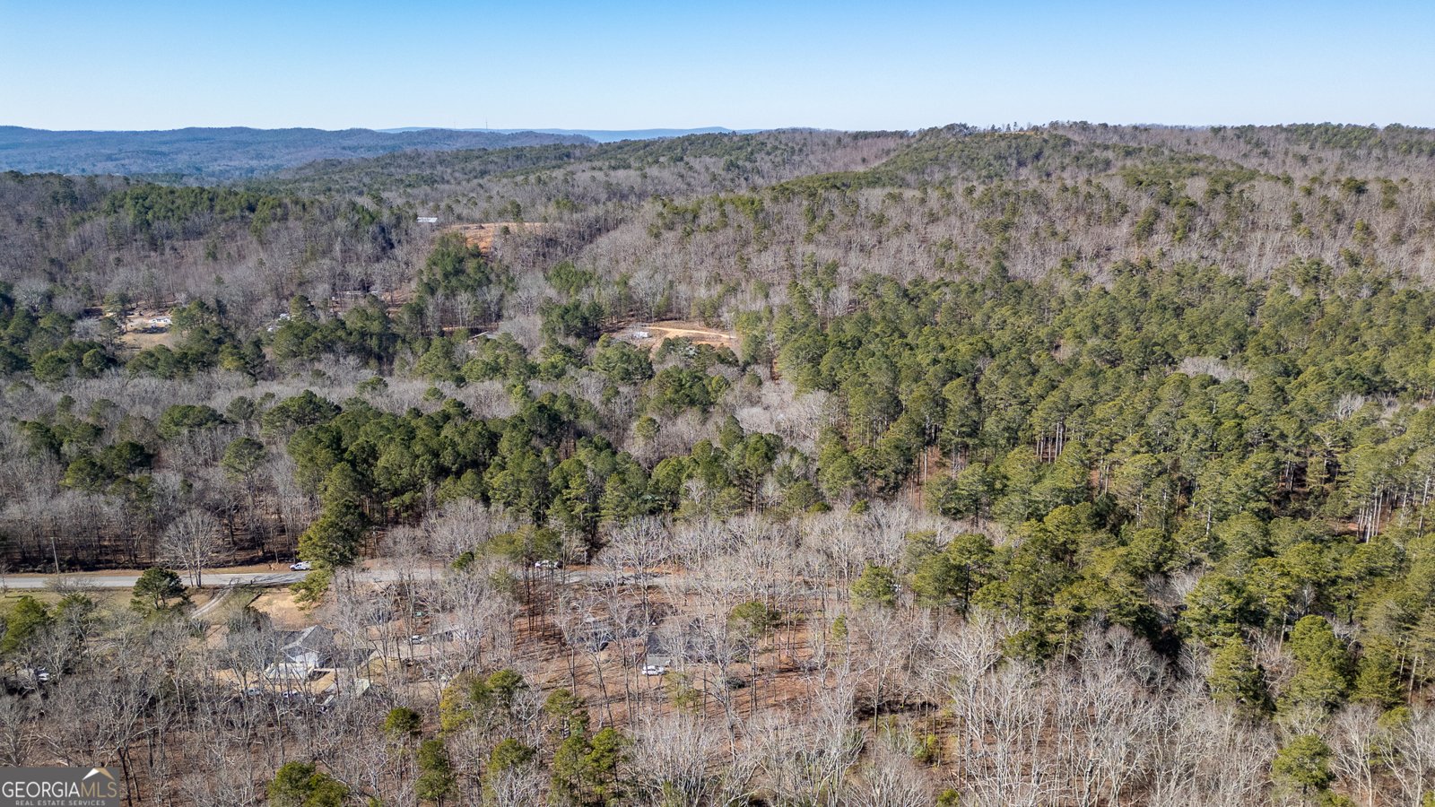 1745 Dick Creek Road La Fayette - Photo 32